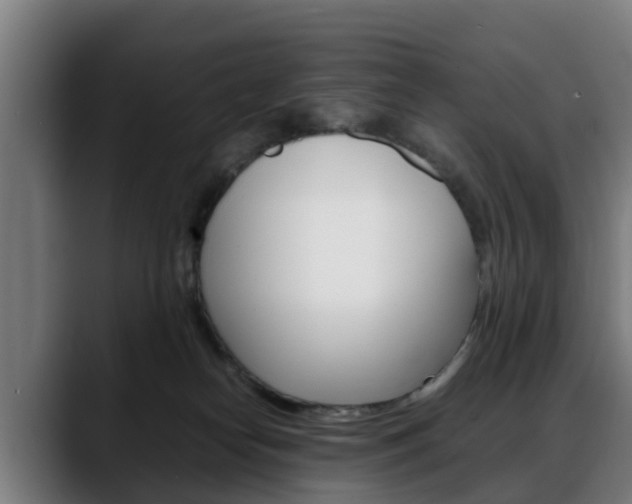 X0000088660182200705251009