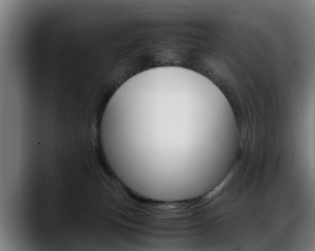 X0000088660183200705251009