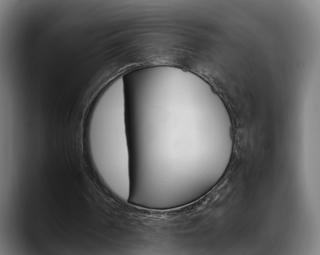 X0000088660194200705251009