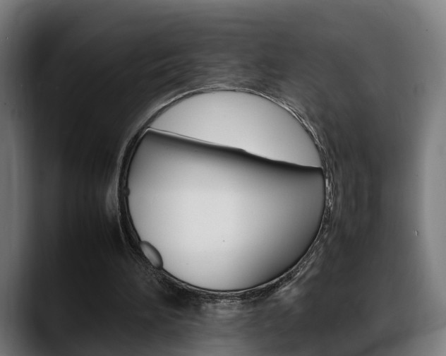 X0000088660196200705251009