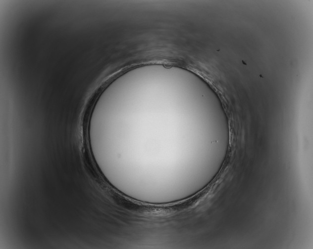 X0000088660198200705251009
