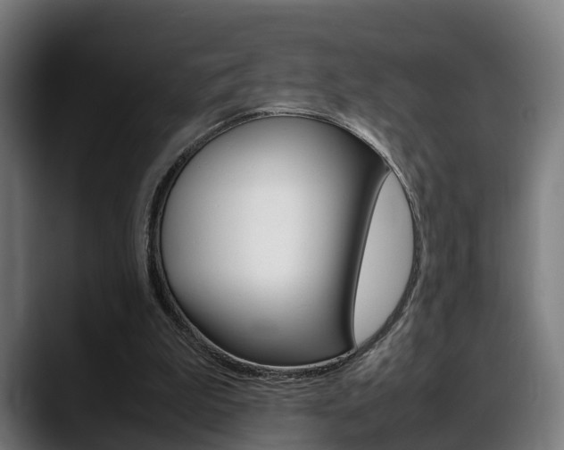 X0000088660199200705251009