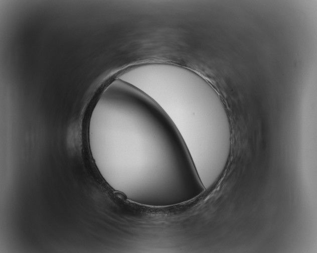 X0000088660200200705251009