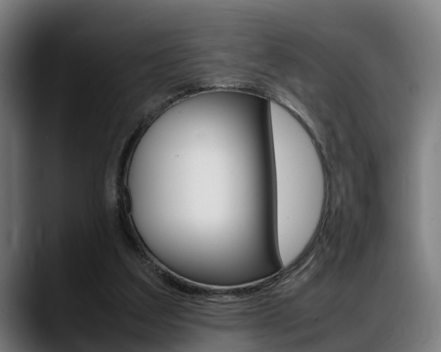 X0000088660203200705251009