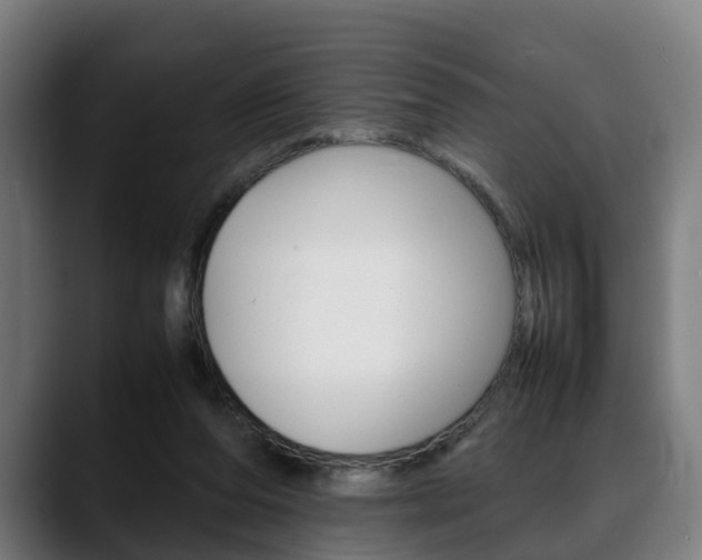 X0000088660208200705251009
