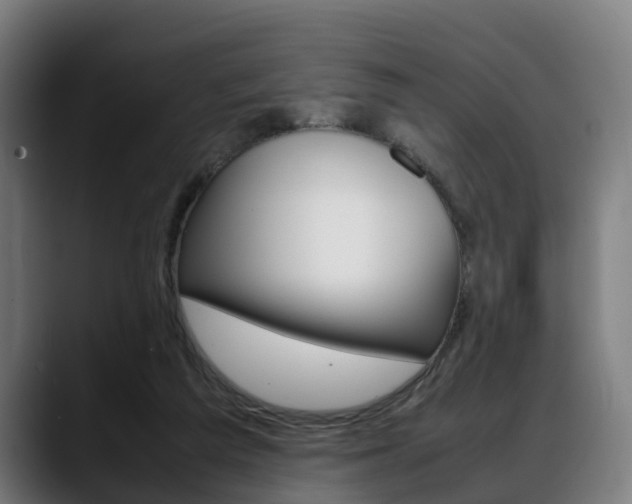 X0000088660209200705251009