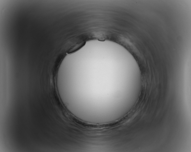 X0000088660213200705251009