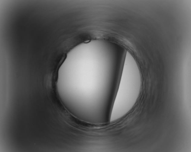 X0000088660217200705251009