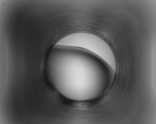 X0000088660221200705251008