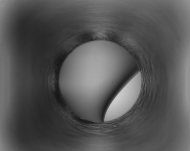 X0000088660223200705251008