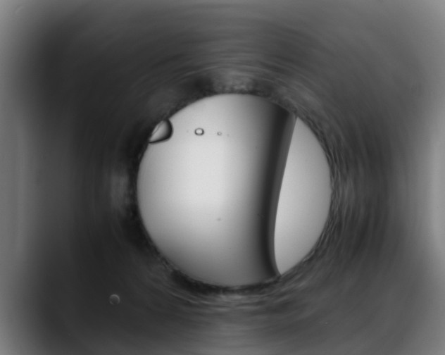X0000088660224200705251008