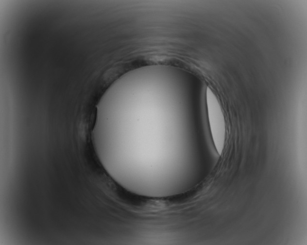 X0000088660227200705251008