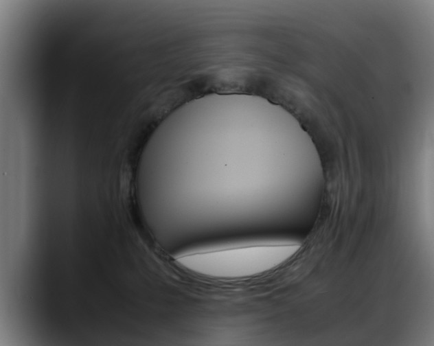 X0000088660231200705251008
