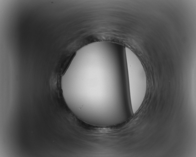 X0000088660233200705251008