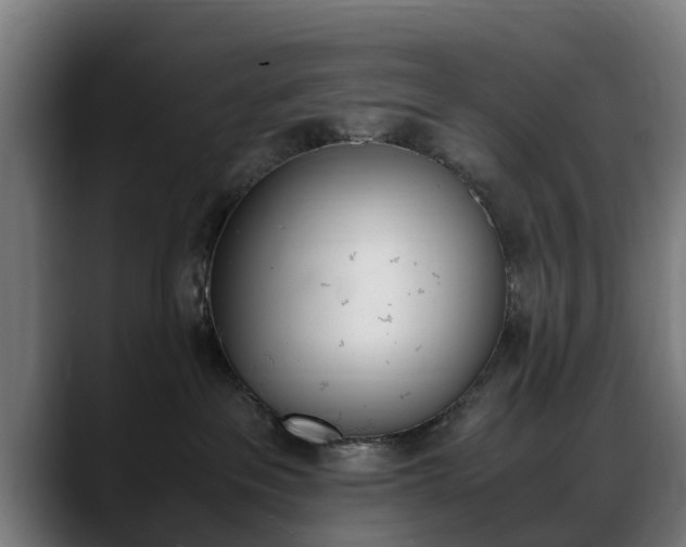 X0000088660237200705251008