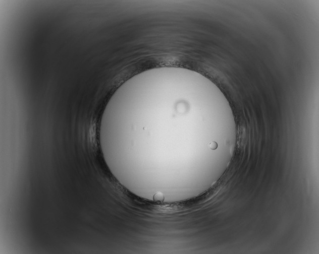 X0000088660238200705251008