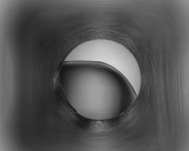 X0000088660239200705251008