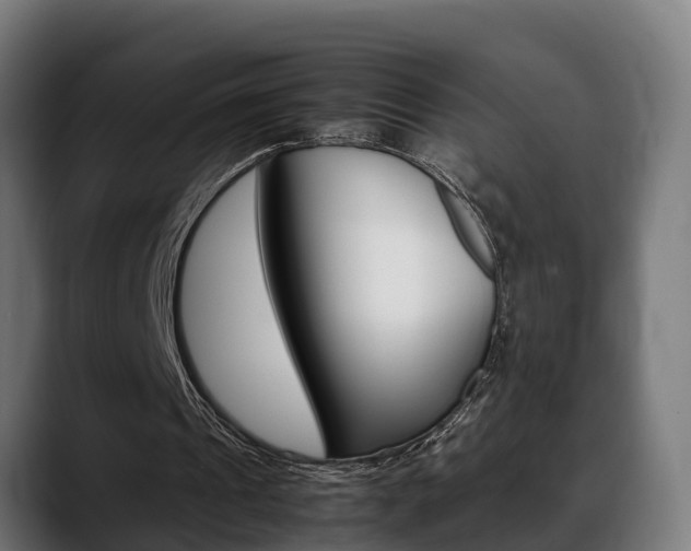 X0000088660241200705251008