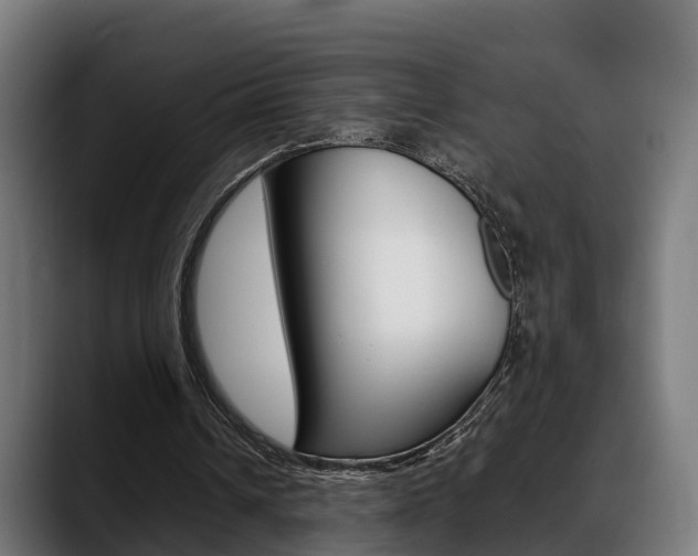 X0000088660242200705251008