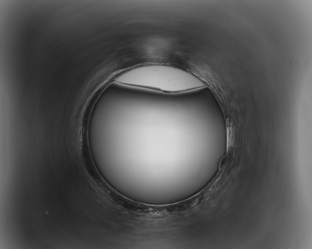X0000088660243200705251008