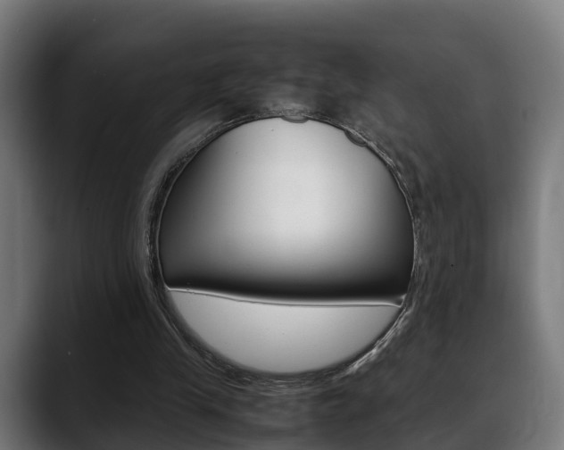 X0000088660245200705251008