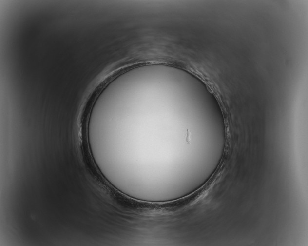 X0000088660246200705251008