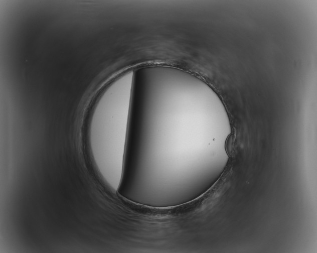 X0000088660247200705251008