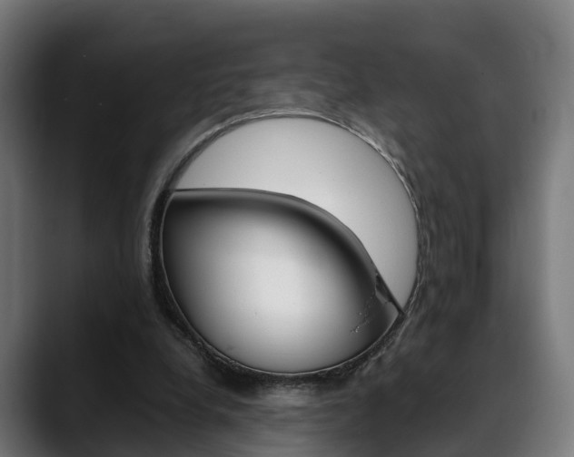 X0000088660248200705251008