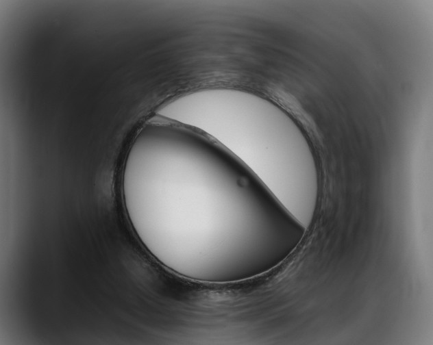 X0000088660250200705251008