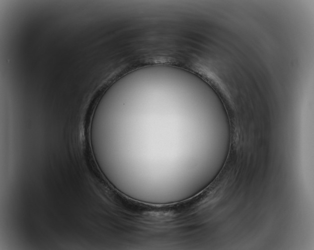 X0000088660251200705251008
