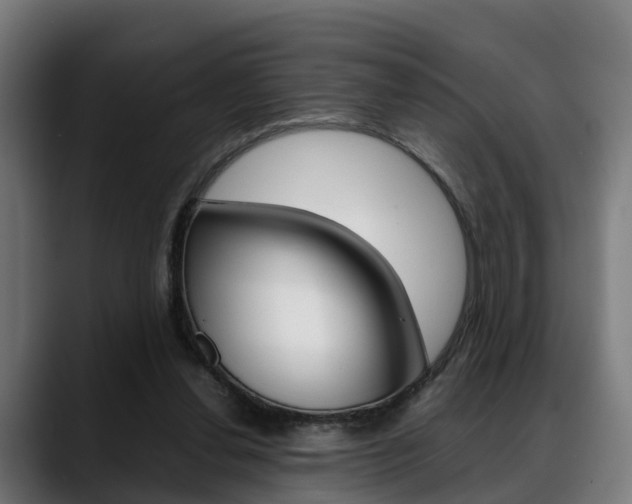 X0000088660252200705251008