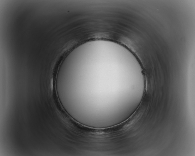 X0000088660253200705251008