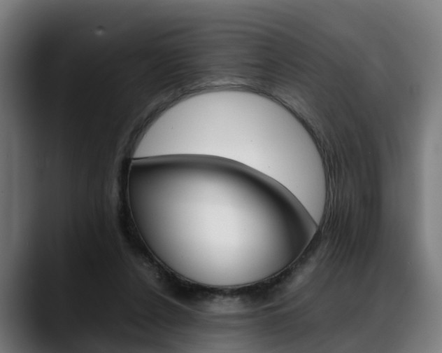 X0000088660256200705251008