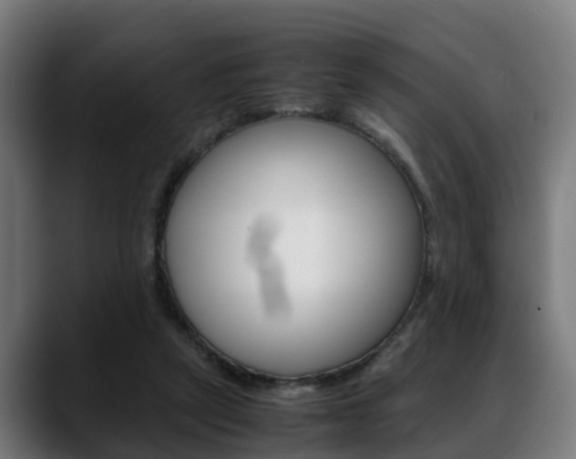 X0000088660257200705251008
