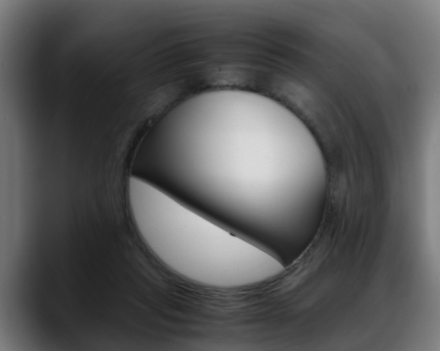 X0000088660261200705251008