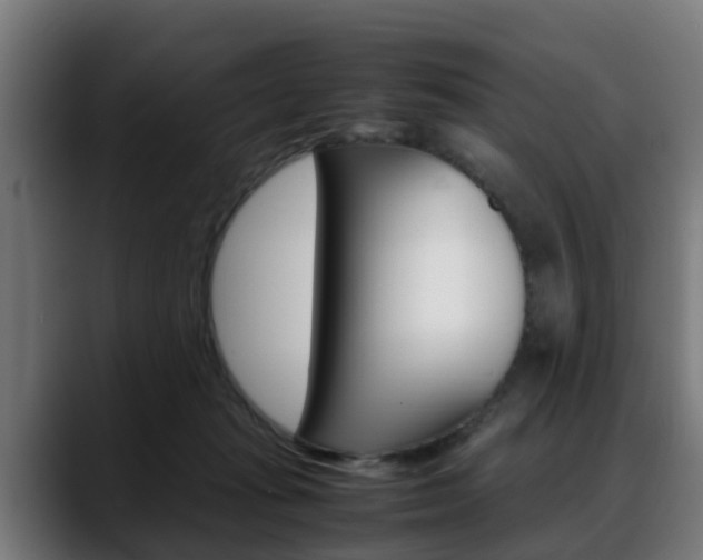 X0000088660269200705251008