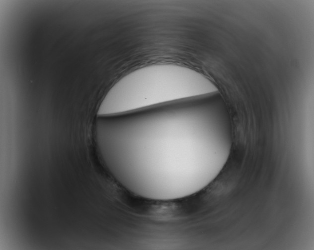 X0000088660274200705251008