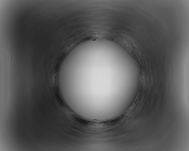 X0000088660276200705251008
