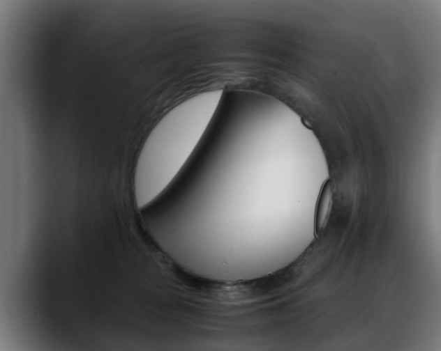X0000088660277200705251008
