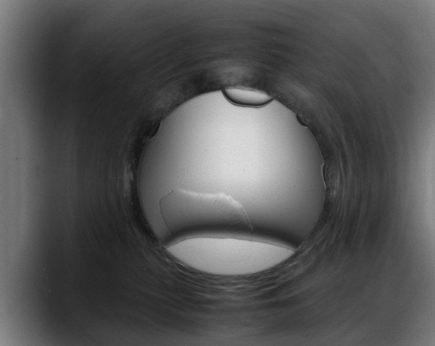 X0000088660279200705251008