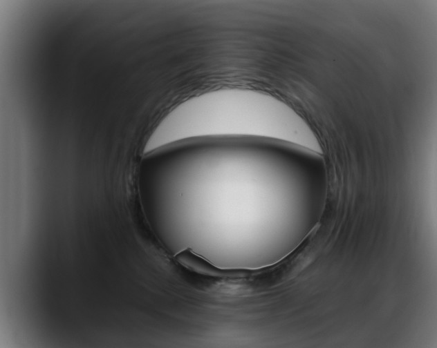 X0000088660280200705251008