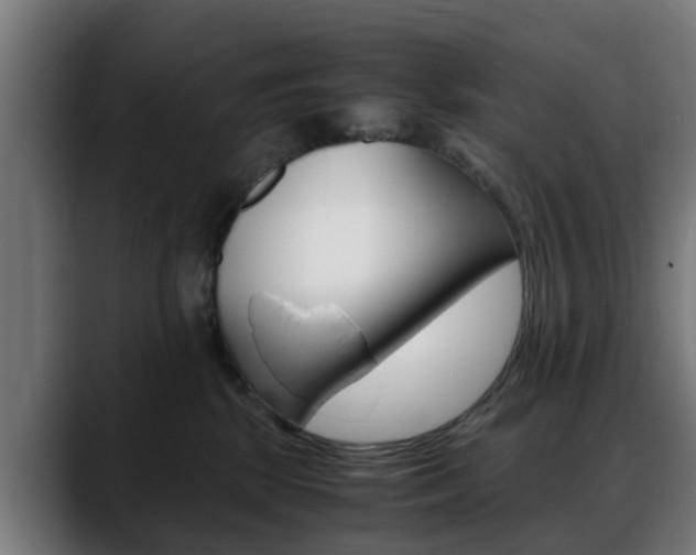 X0000088660281200705251008