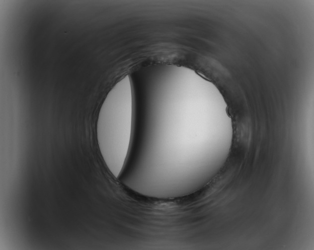X0000088660283200705251008