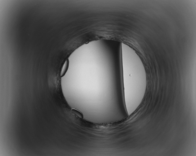 X0000088660285200705251008