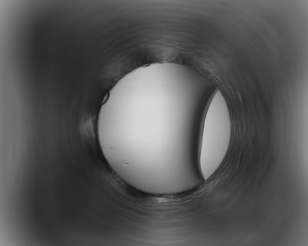 X0000088660286200705251008