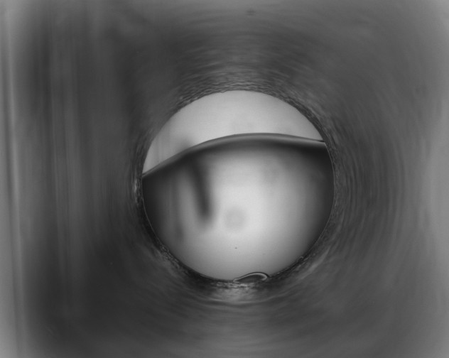 X0000088660288200705251008