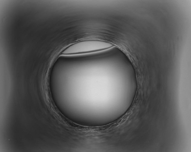 X0000088660289200705251008