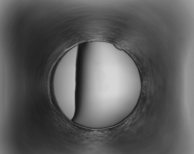 X0000088660290200705251008