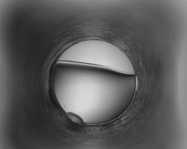 X0000088660291200705251008