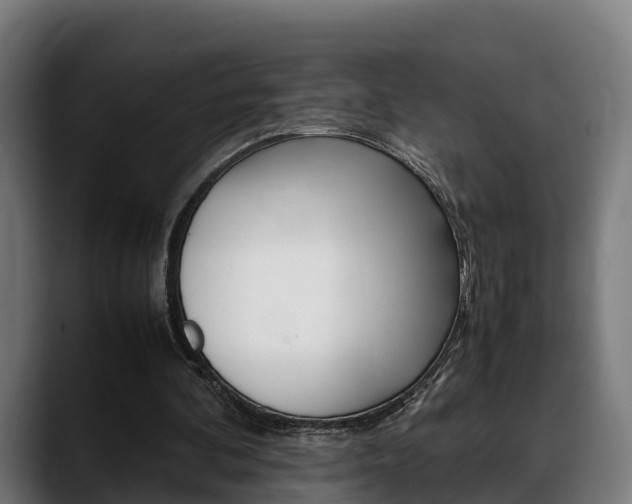 X0000088660292200705251008